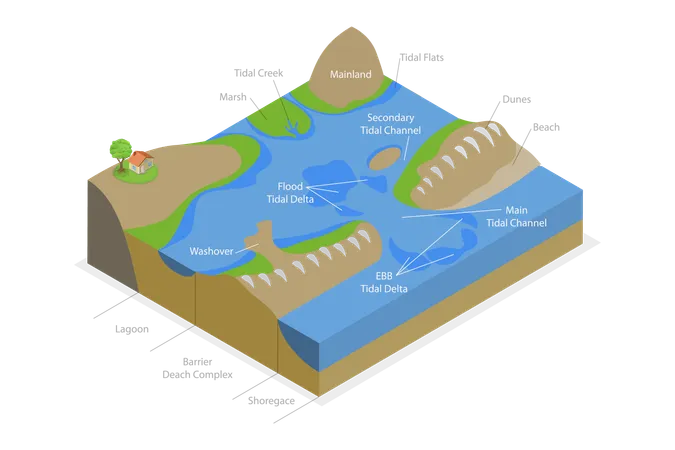 3 D Isometric Flat Vector Conceptual Illustration Of Barrier Island System Educational Diagram Illustration