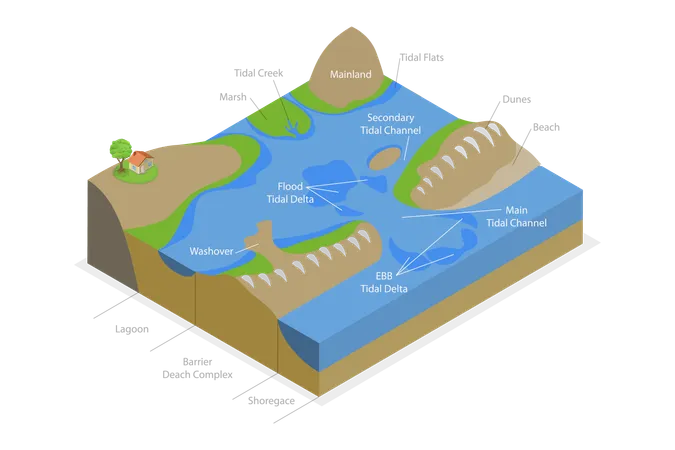 Barrier Island System Illustration - Free Download Miscellaneous ...