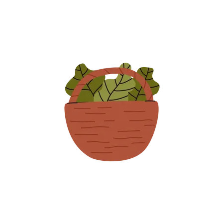 Basket with vegetables and herbs  Illustration