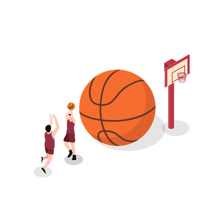 Basketball  Illustration