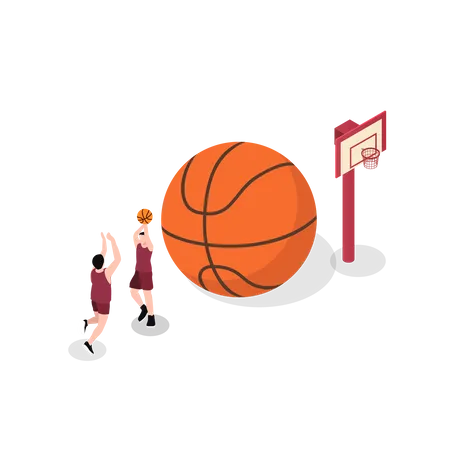 Basketball  Illustration