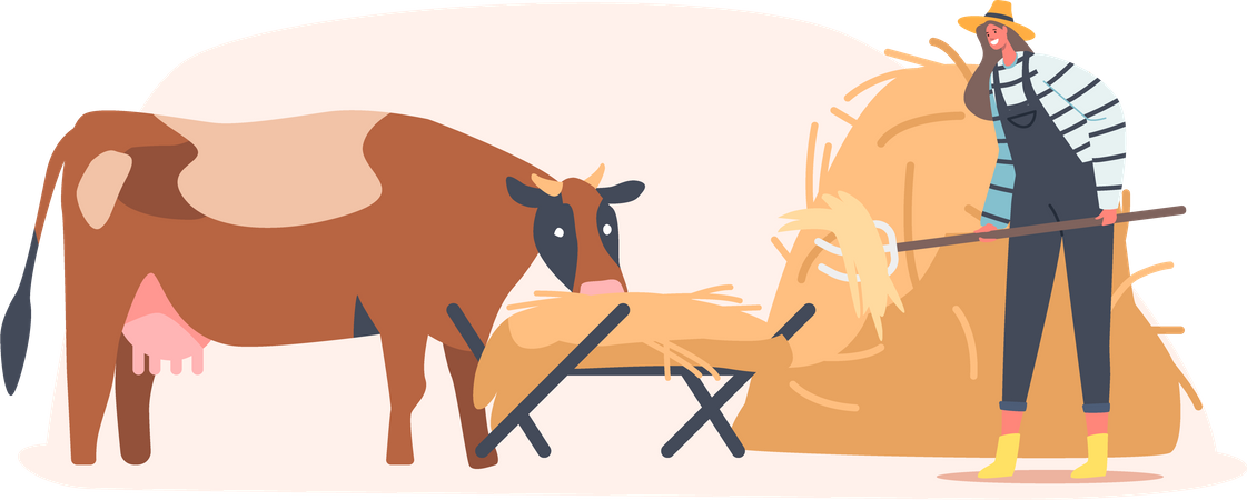 Bauer füttert Kuh  Illustration