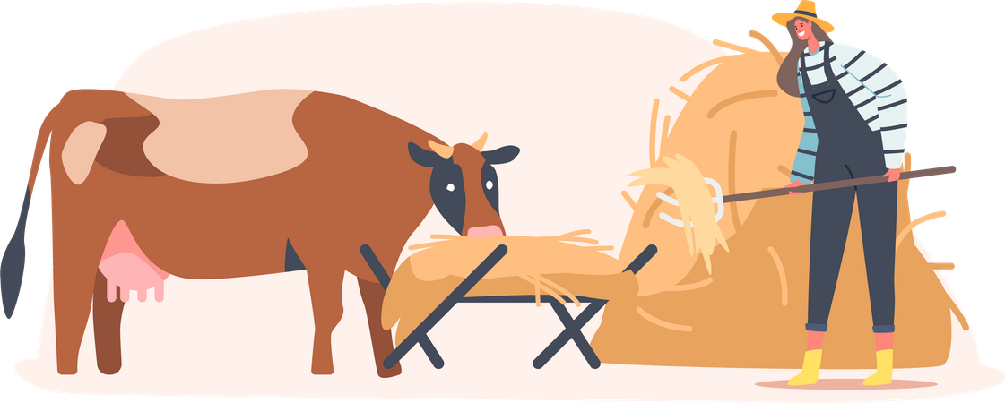 Bauer füttert Kuh  Illustration