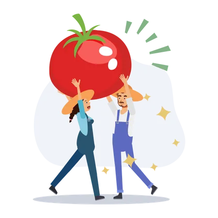 Bauer hält Tomaten  Illustration