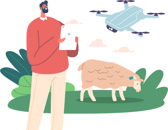 Bauer setzt Drohne zur Überwachung von Schafen ein  Illustration