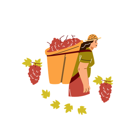 Bäuerin oder Gärtnerin mit Korb auf dem Rücken voller reifer Trauben  Illustration