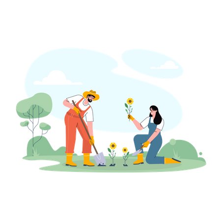 Bauernpaar pflanzt Sonnenblumen  Illustration