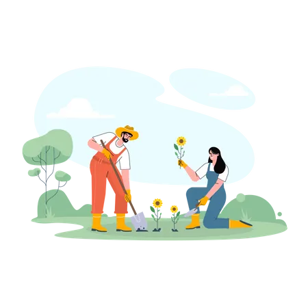 Bauernpaar pflanzt Sonnenblumen  Illustration