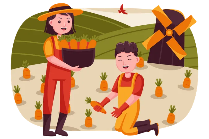 Bauernpaar sammelt Karotten vom Bauernhof  Illustration