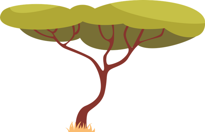 Baum  Illustration