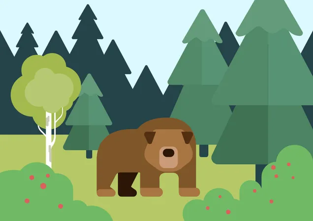 Bear  Illustration