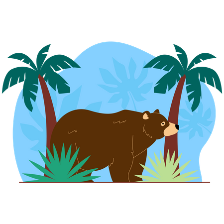 Bear  Illustration
