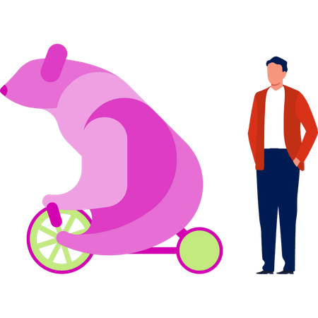 Bear cycling in front of his trainer  Illustration