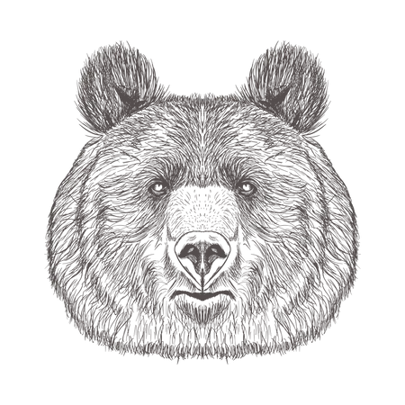 Bear Head Illustration