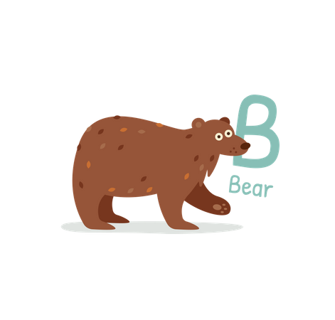 Bear  Illustration