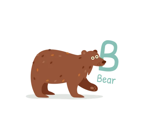 Bear  Illustration