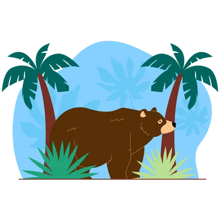 Bear  Illustration