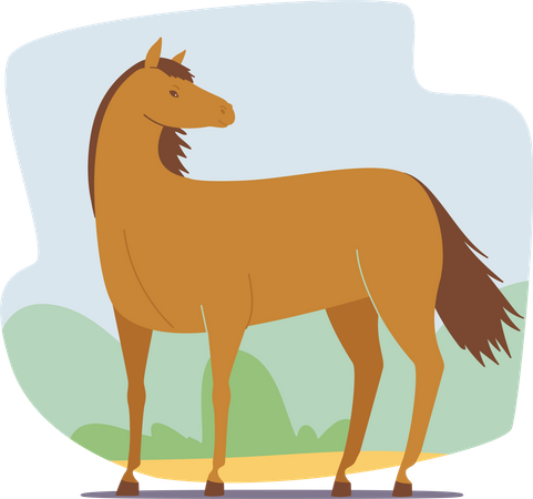 Beautiful Brown Horse Illustration