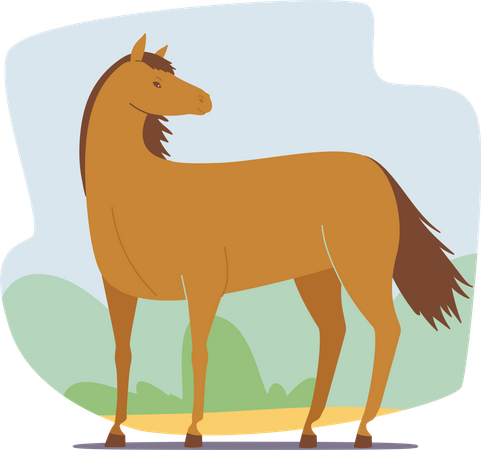 Beautiful Brown Horse  Illustration