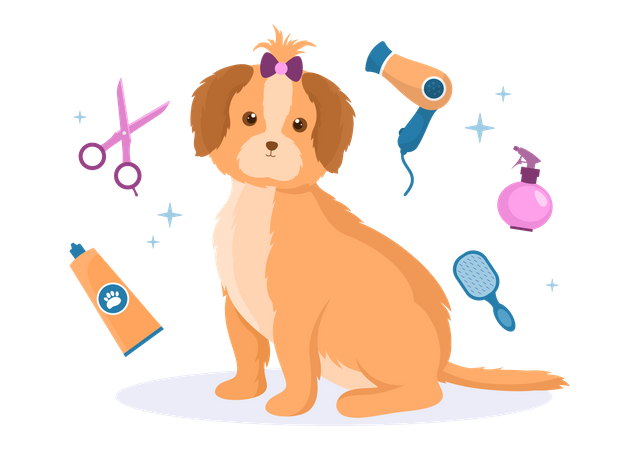 Beauty Salon Service for pet Illustration