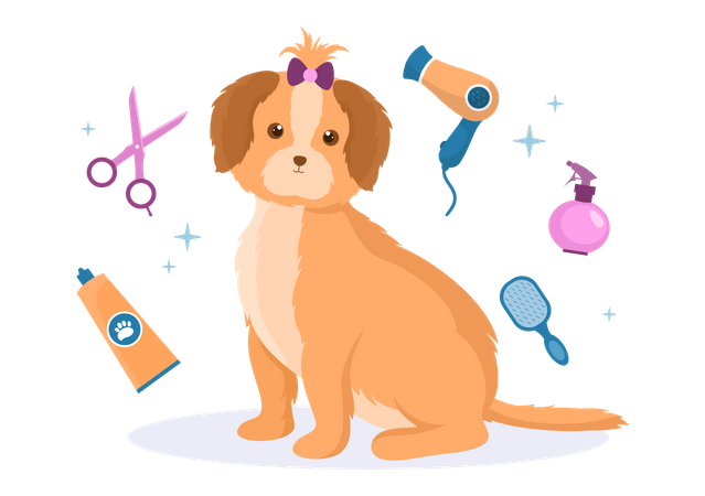 Beauty Salon Service for pet  Illustration