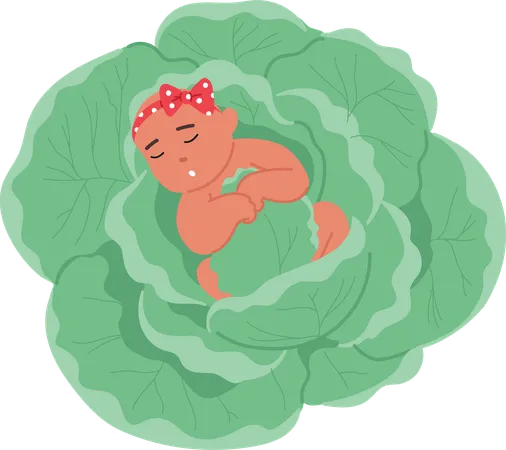 Bébé fait une sieste confortable sur un lit de feuilles de chou vert  Illustration