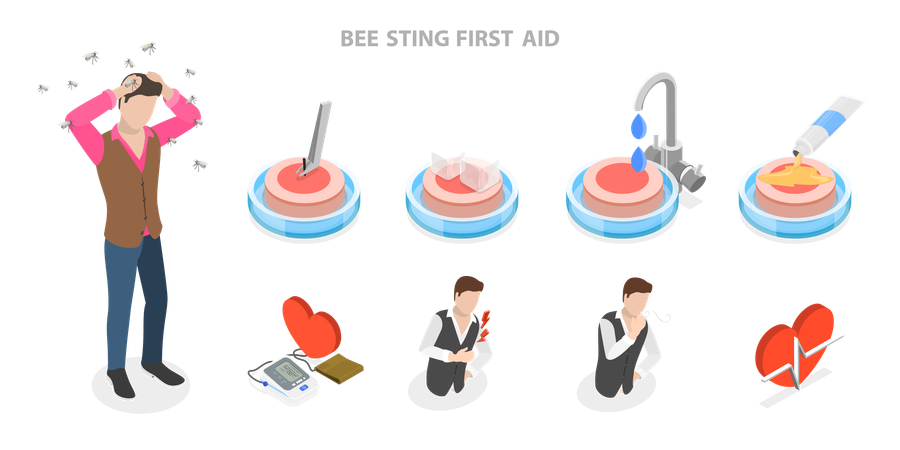 Bee Sting First Aid  Illustration