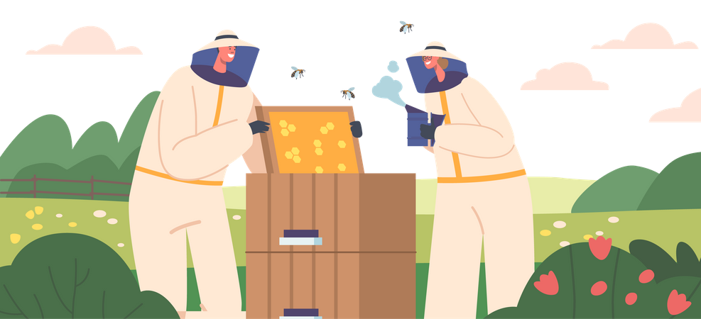 Beekeeping Apiary Illustration