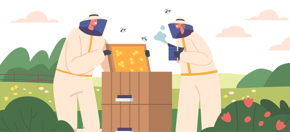 Beekeeping Apiary  Illustration