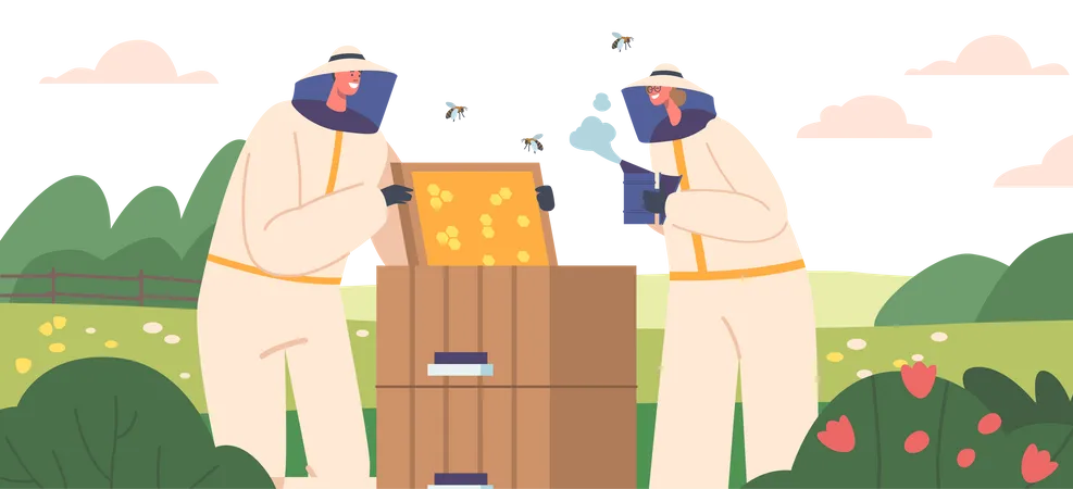 Beekeeping Apiary  Illustration