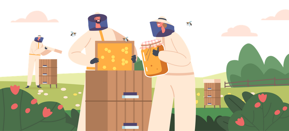 Beekeeping  Illustration