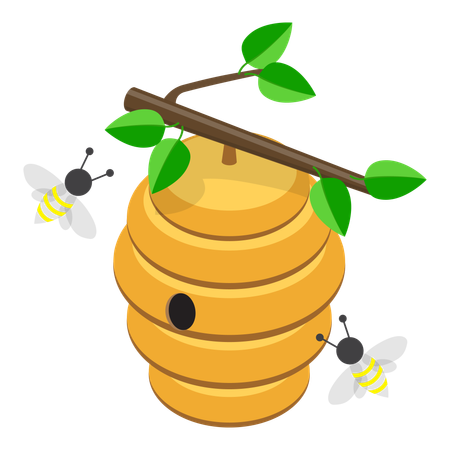 Beekeeping in garden  イラスト
