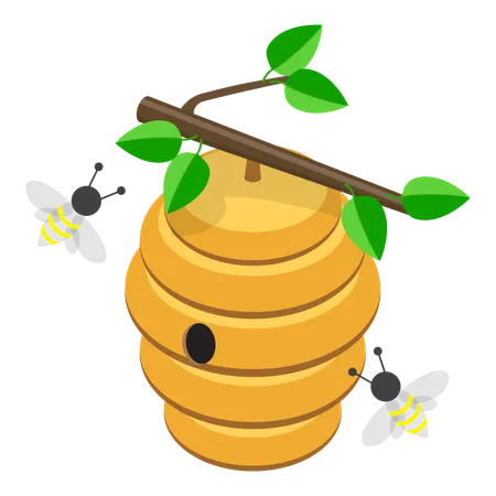 Beekeeping in garden  イラスト