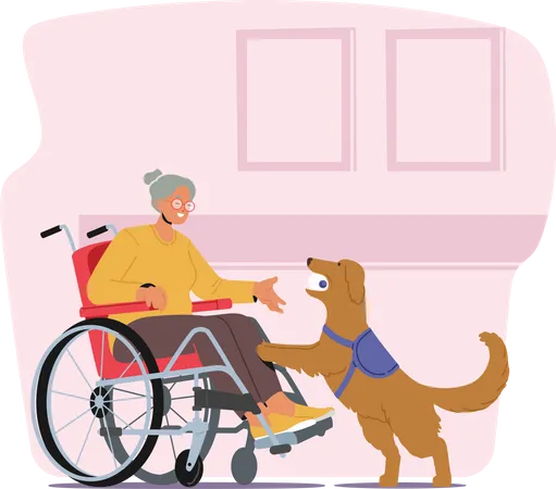 Behinderte Altere Frau Zeichen Auf Rollstuhl Gleichfalls Begleitet Per Sie Loyal Blindenhund Wer Assists Sie Mit Alltagliche Aufgaben Bereitstellung Unabhangigkeit Und Comfort Karikatur Leute Vektor Abbildung Illustration