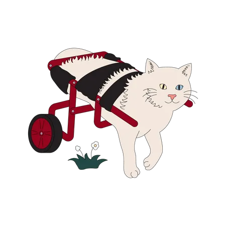 Behinderte Katze geht mit Unterstützung eines Rollstuhls spazieren  Illustration