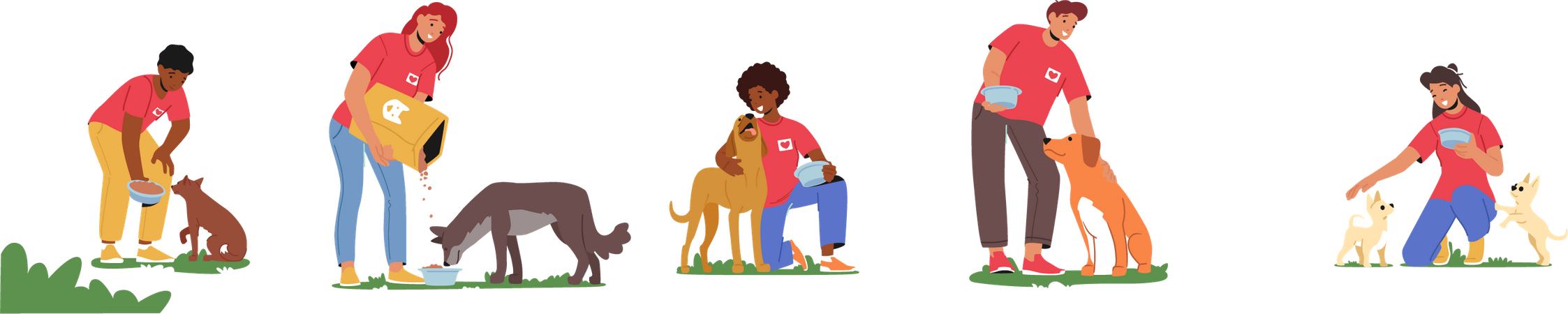 Des bénévoles nourrissent des chiens  Illustration