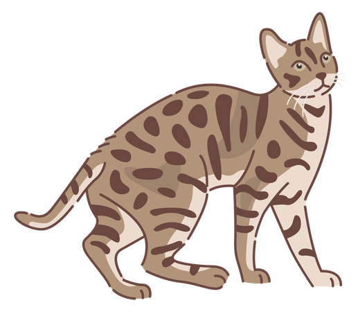 Bengal cat  Illustration