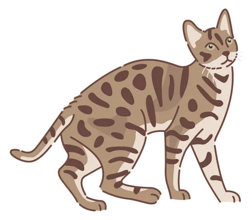 Bengal cat  Illustration