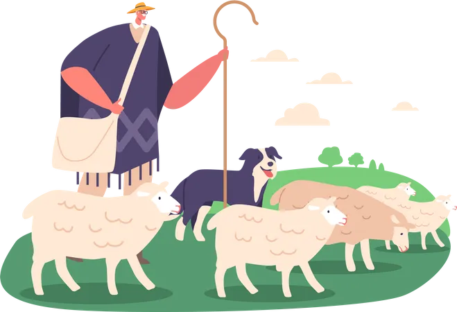 Berger mâle et chien élevant des moutons à l'aide de commandes vocales et de signaux physiques  Illustration