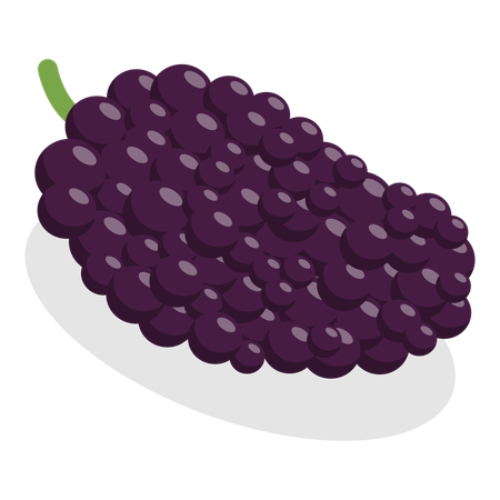 Berries  Illustration