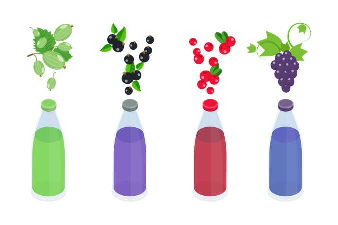 Berry Beverage  Illustration
