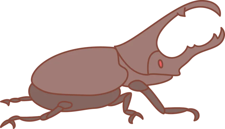 Besouro-veado  Ilustração