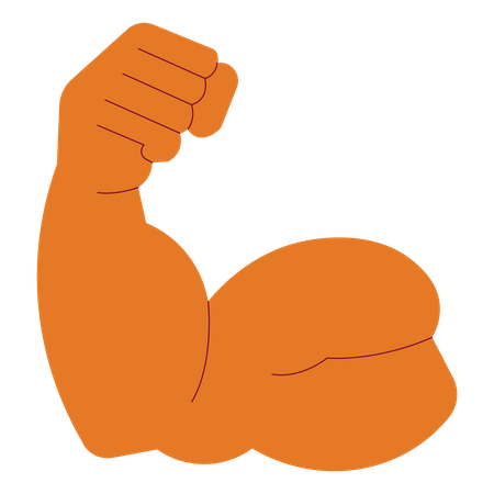 Músculo del brazo bíceps  Ilustración