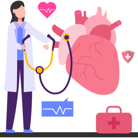 Examen cardiaque  Illustration