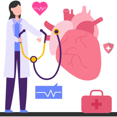 Examen cardiaque  Illustration