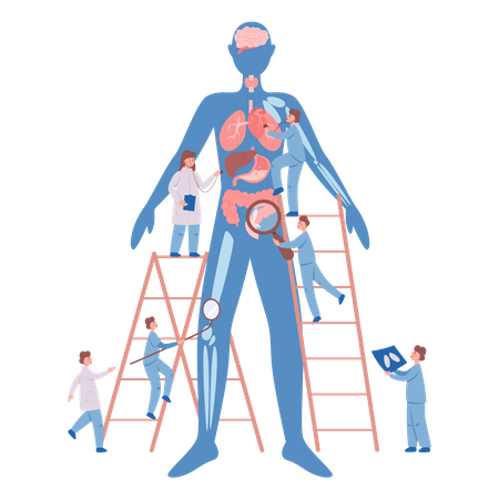 Bilan de santé annuel  Illustration