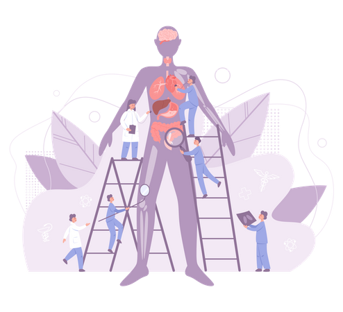 Bilans de santé annuels  Illustration