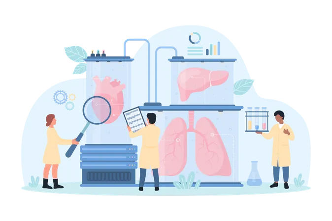 Bioartificial Human Organ For Transplantation Vector Illustration Cartoon Tiny Scientists With Magnifying Glass Study Lungs Liver And Heart Inside Medical Biotech Laboratory Equipment Of Future Illustration