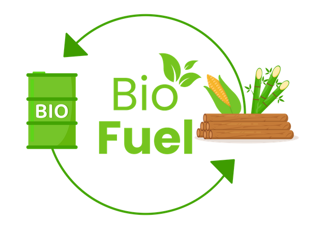 Biofuel Production  Illustration