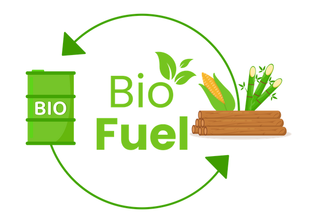 Biofuel Production  Illustration